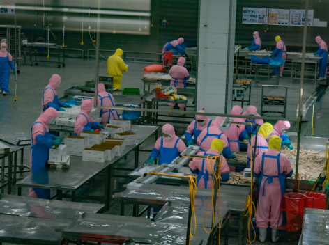 4796a2af223849c0aa4de1161a16a1ff.png 4796a2af223849c0aa4de1161a16a1ff.png