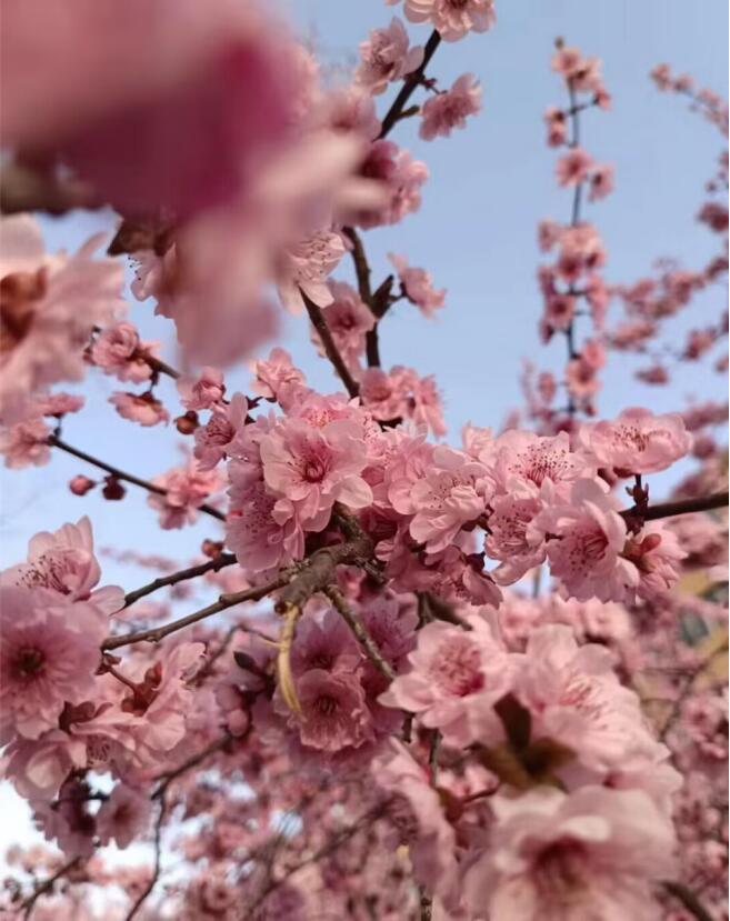 dad174fd4ad747e797b6fc8546eda755.jpg dad174fd4ad747e797b6fc8546eda755.jpg