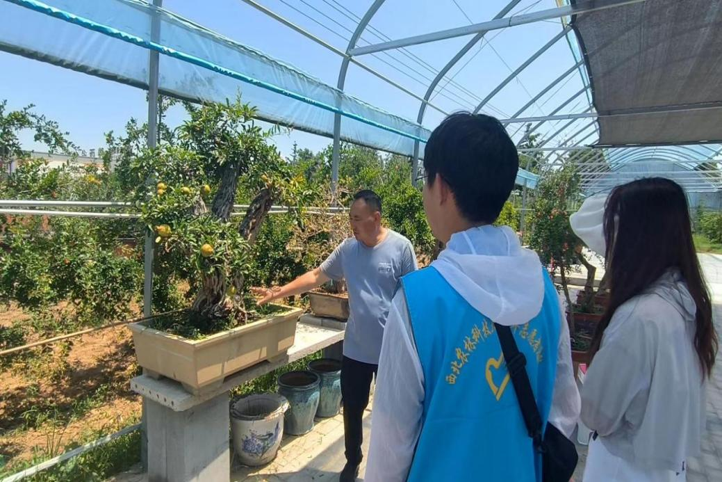 1663a7f56eee46ee9a60a77a404c7af9.png 1663a7f56eee46ee9a60a77a404c7af9.png